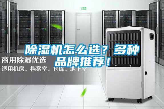 除濕機(jī)怎么選?多種品牌推薦!