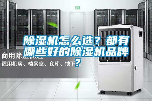 除濕機怎么選？都有哪些好的除濕機品牌？