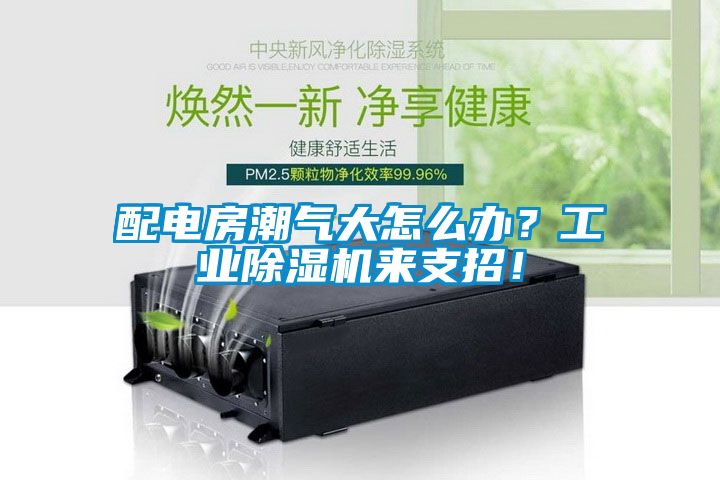 配電房潮氣大怎么辦?工業除濕機來支招!